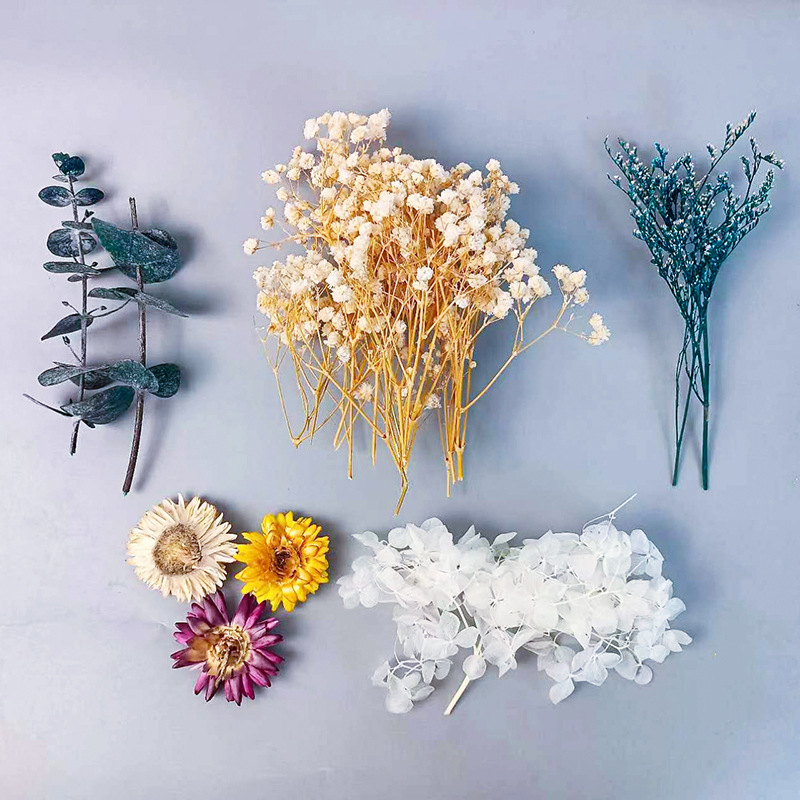 Craft Embellishments - 1 упаковка, набор различных сушеных цветов
